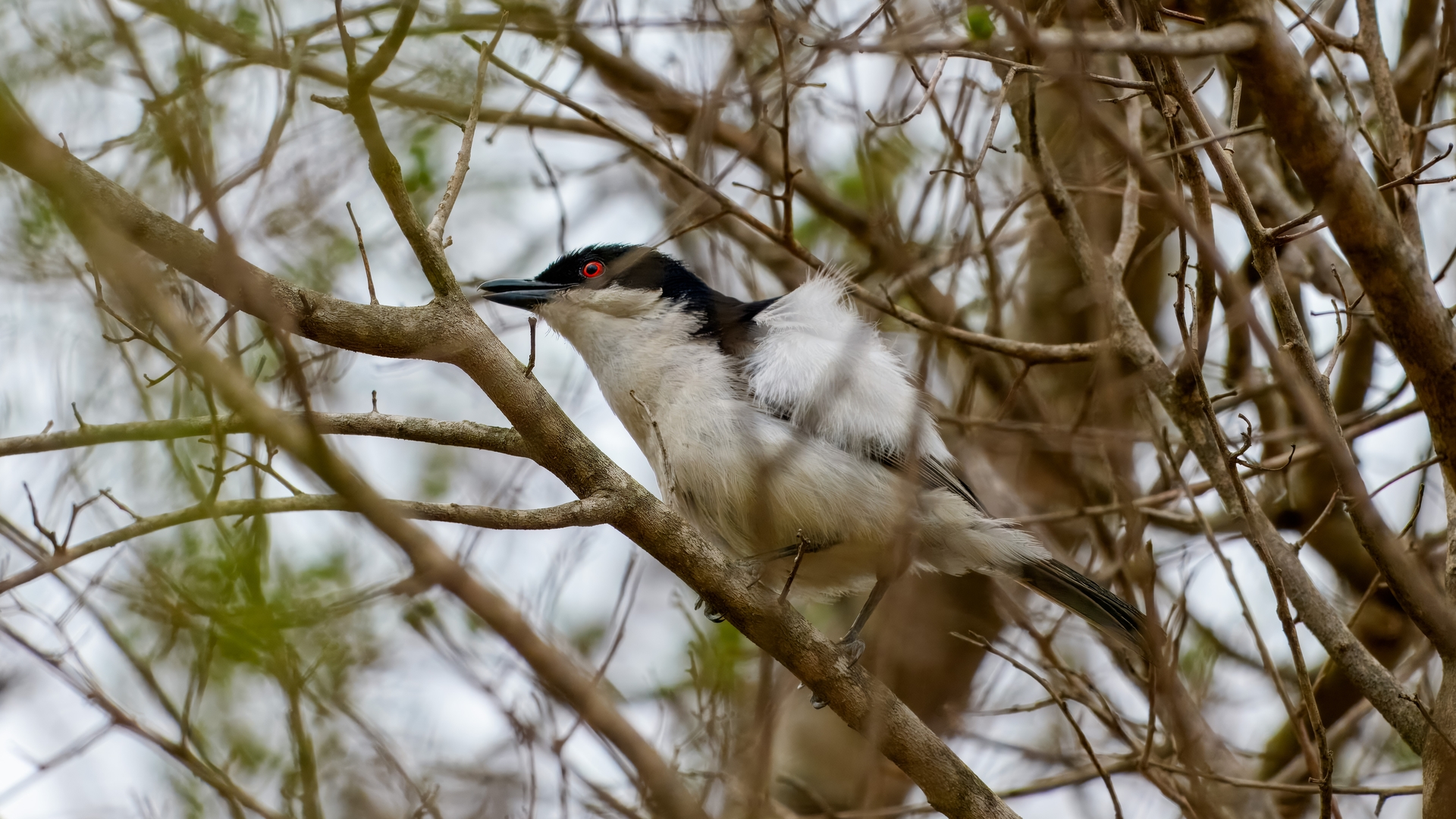 Kruger25 2025 10 31 14 36 00 ILCE 1M2 157